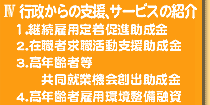 5.s̎xAT[rX̏Љ