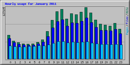 Hourly usage for January 2011